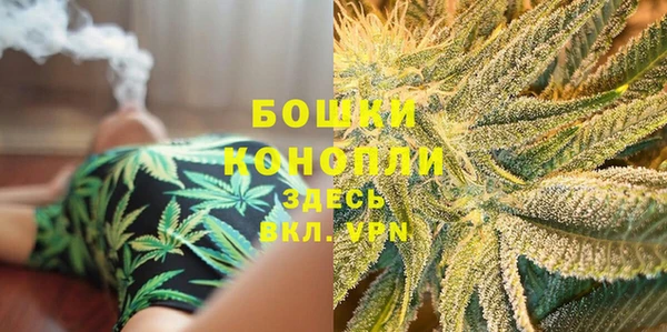 ГАЛЛЮЦИНОГЕННЫЕ ГРИБЫ Ладушкин