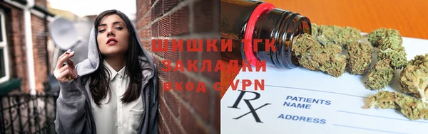 ГАЛЛЮЦИНОГЕННЫЕ ГРИБЫ Ладушкин
