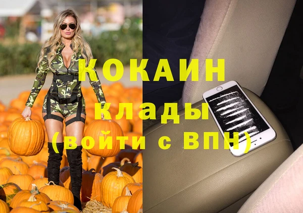 ГАЛЛЮЦИНОГЕННЫЕ ГРИБЫ Ладушкин