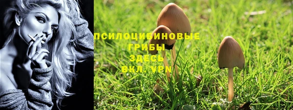 ГАЛЛЮЦИНОГЕННЫЕ ГРИБЫ Ладушкин