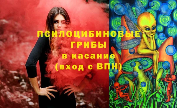 ГАЛЛЮЦИНОГЕННЫЕ ГРИБЫ Ладушкин
