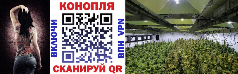 Конопля марихуана  Купить закладки  Горячеводский 